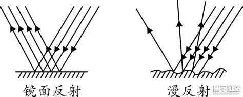 鏡子 反射|镜子反射原理